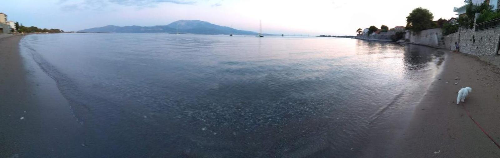 The Cozy Seaside Nafpaktos